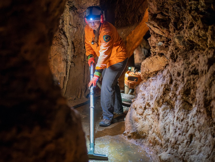 A woman in a fluro orange jacket and headlamp smiles while sweeping a narrow walkway winding through a vast limestone cave.
