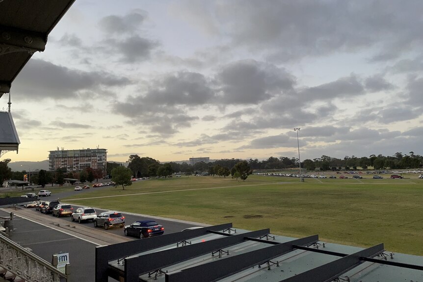 A line of cars in a park