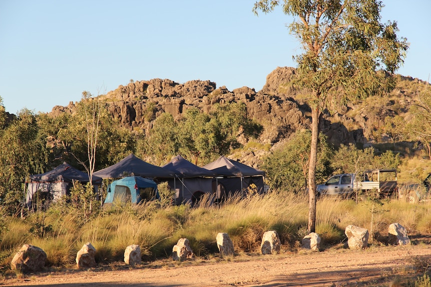 Tents in bush land with rock mountain in the background.
