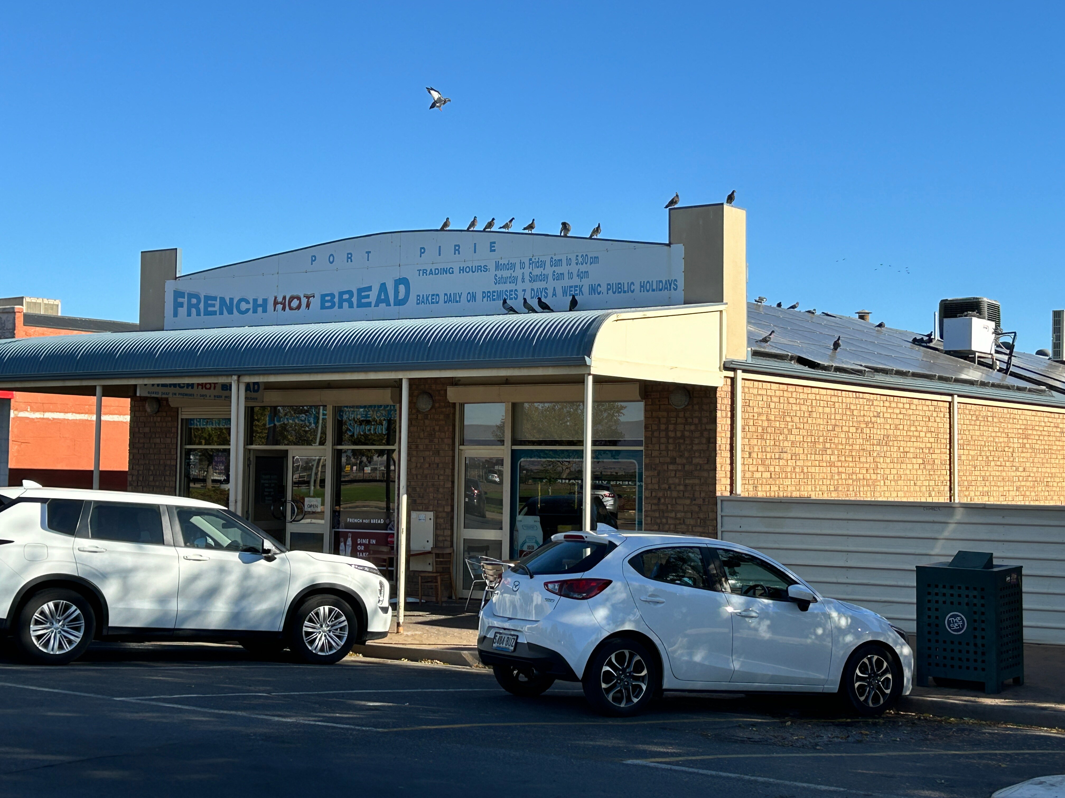 Pigeons perched all over the roof and solar panels of a business. 