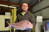 A man holding a fish in a warehouse with freezers