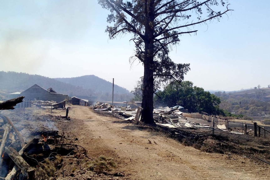 Fire devastated property and landscape.