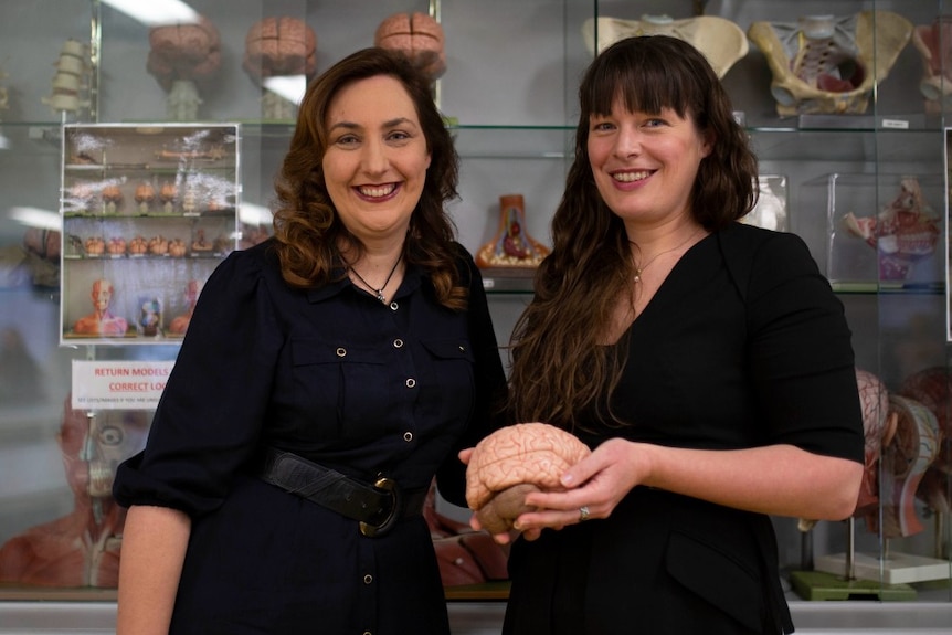 Two women in black outfits in front of a glass cabinet, one holds a model brain