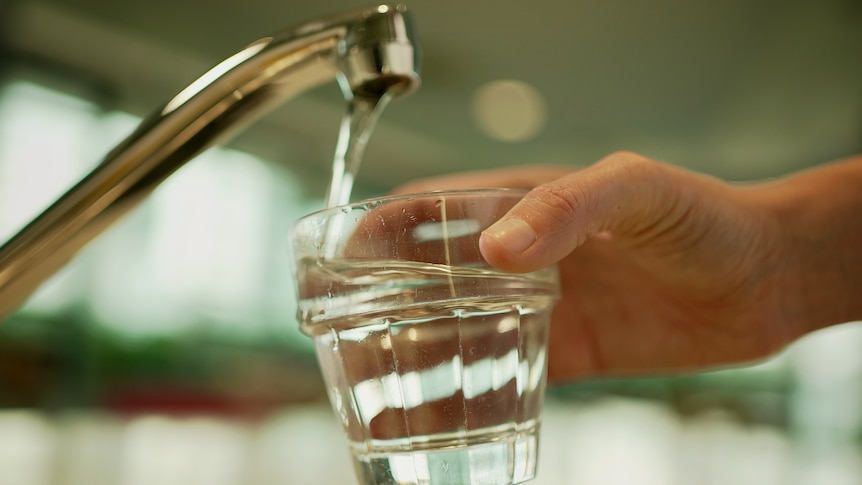 a close-up of a person holding a glass under a running tap, filling it with water