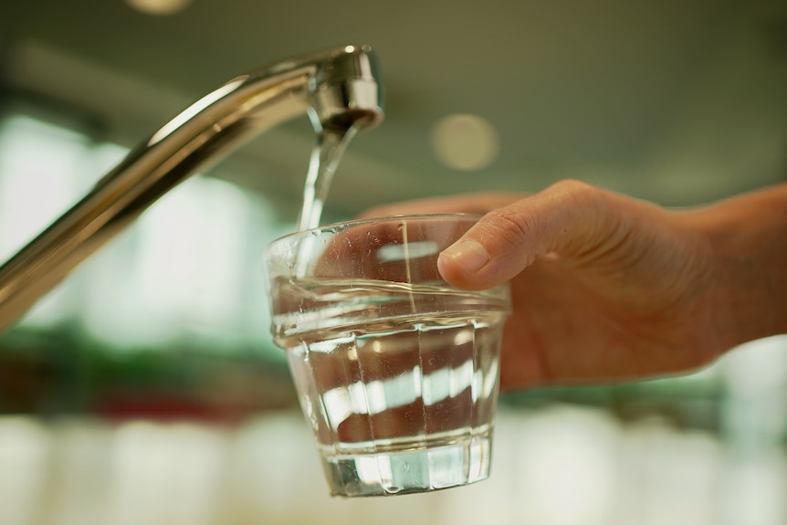 un gros plan d'une personne tenant un verre sous un robinet courant et le remplissant d'eau