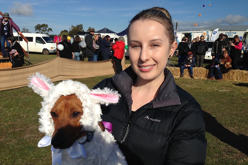 Dog costume winner Harry