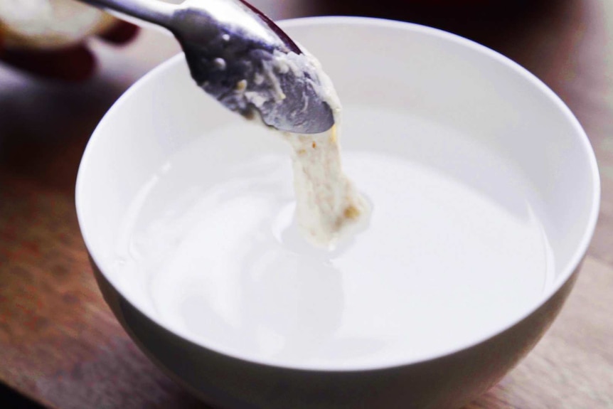 A spoonful of sourdough starter being dropped into a bowl of water illustrating a sourdough bread recipe.