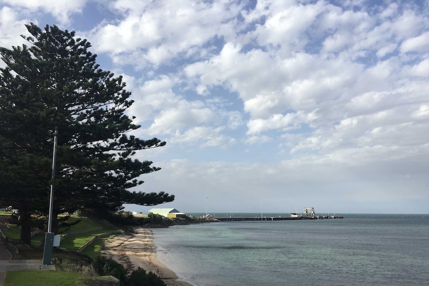 A wharf as seen from the mainland beach