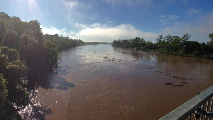 Debris flows down the swollen Brisbane River at Indooroopilly. January 29, 2012.