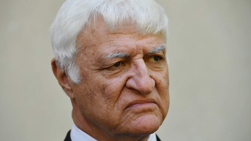 Headshot of independent Member for Kennedy Bob Katter.