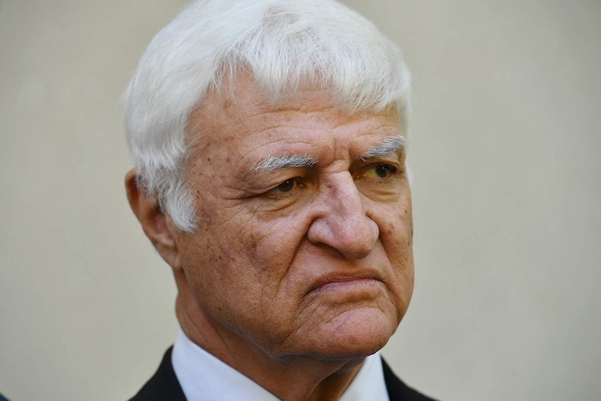 Headshot of independent Member for Kennedy Bob Katter.