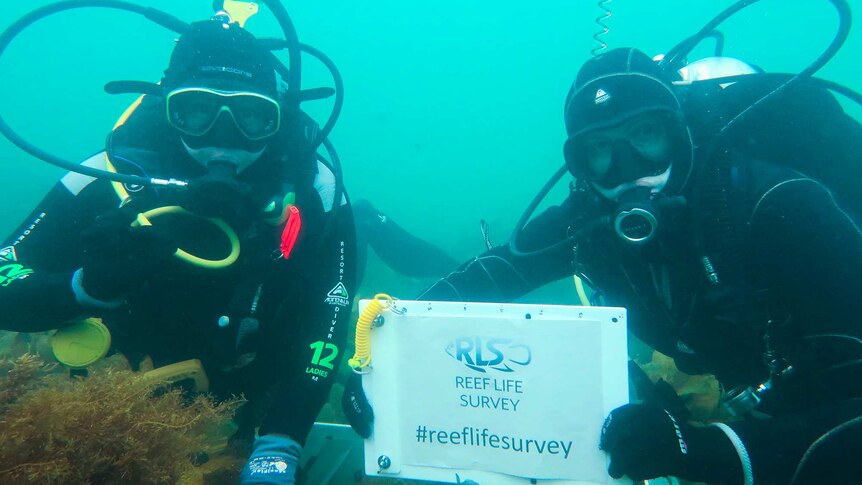 Volunteer divers Ember Corpuz and Chelsea Haebich