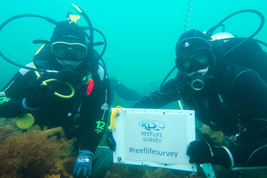 Volunteer divers Ember Corpuz and Chelsea Haebich