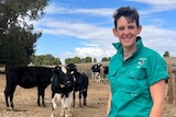 A woman, smiling, with some cows.