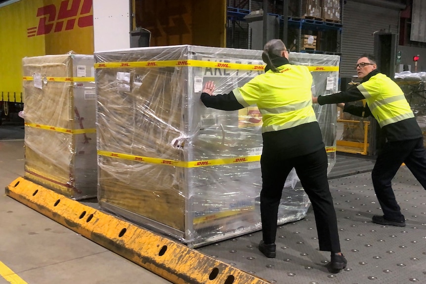 Deux ouvriers en haute visibilité dans un aéroport, poussant une caisse emballée dans du plastique dans un camion.