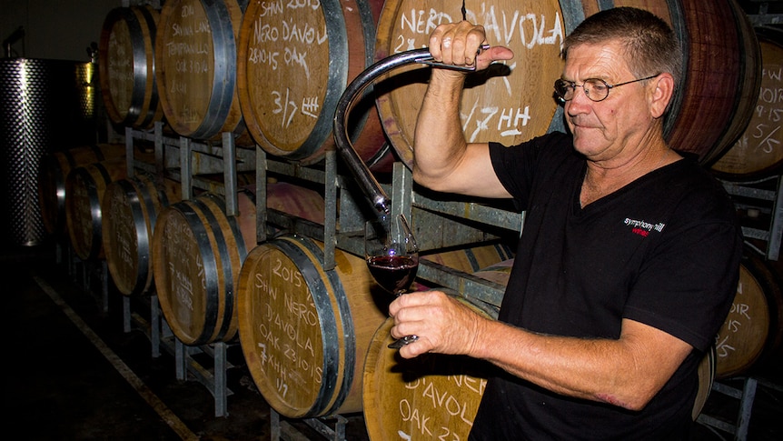 Mike Hayes samples wine in his cellar