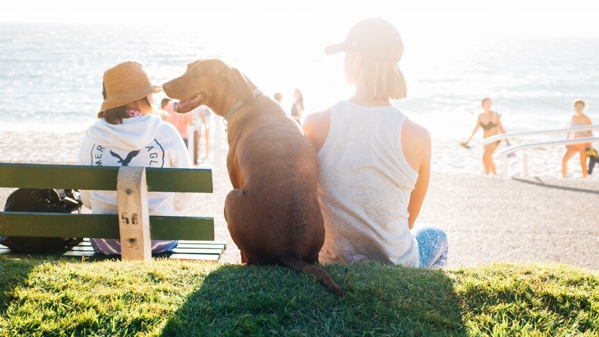 A family sits with their dog at the beach.