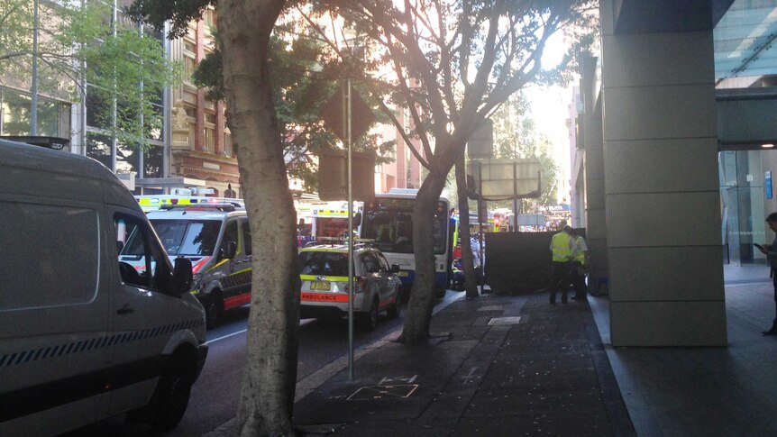 A pedestrian was knocked down by a bus in central Sydney