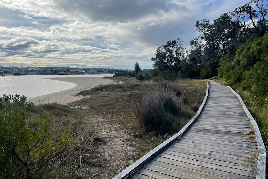 wooden board walk along lake