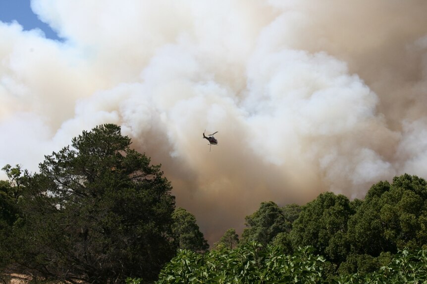 A water bomber heads to a fire in Gwindinup in Western Australia.
