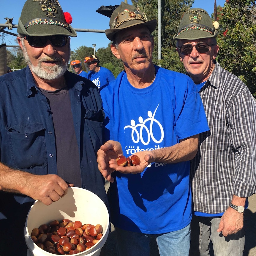 Italian men, Zeno, Lorenzo and Gabe pose for a photo with raw chestnuts, that are ready to be roasted