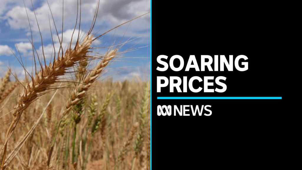 Escalating Ukraine War Drives Global Wheat Prices Even Higher - ABC News