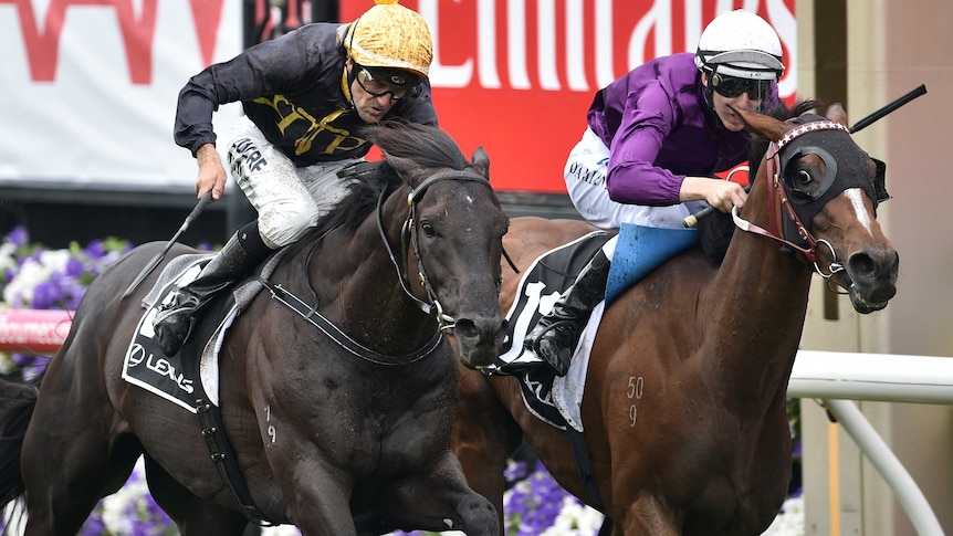Dwayne Dunn (L) rides Excess Knowledge first past the post in the Lexus Stakes against Zanteca.