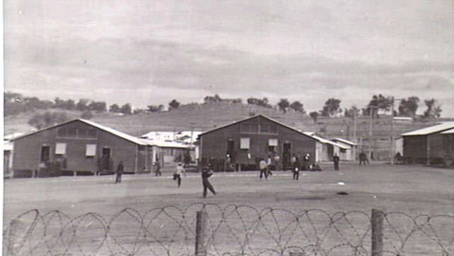 Japanese POWs play baseball at the camp near Cowra.