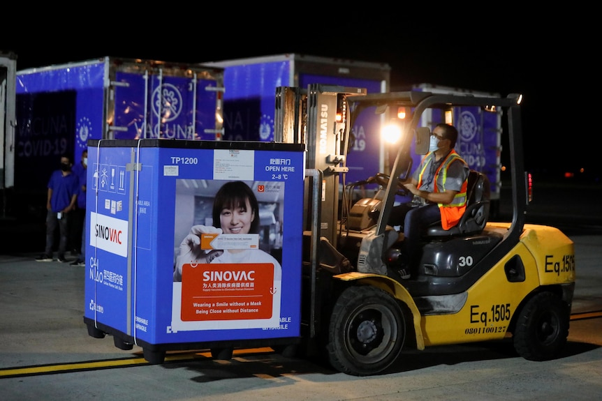 A forklift driver shifts a huge box with 'Sinovac' written across the side 