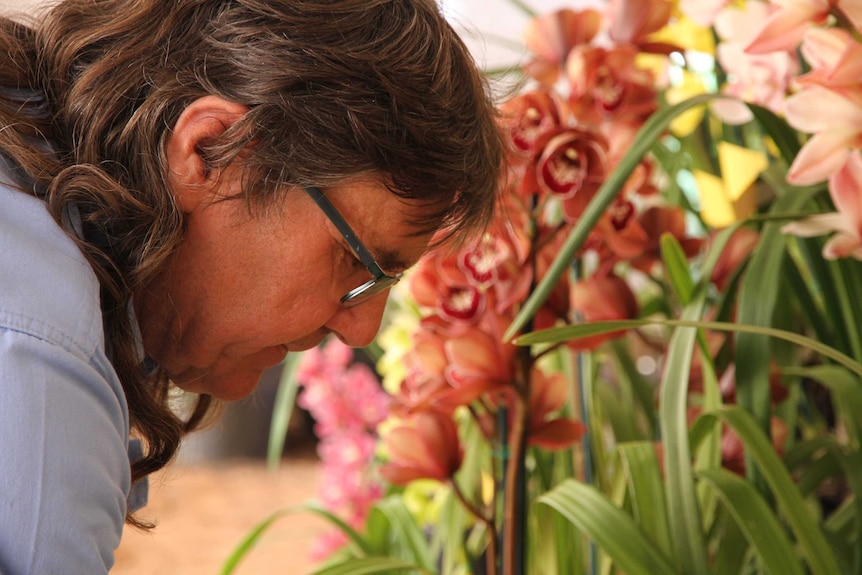 Stephen Lynch admires orchids from his own personal collection.