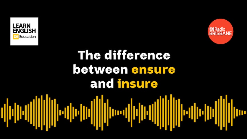 The difference between ensure and insure