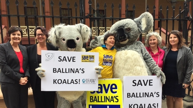 Koala campaigners at parliament house