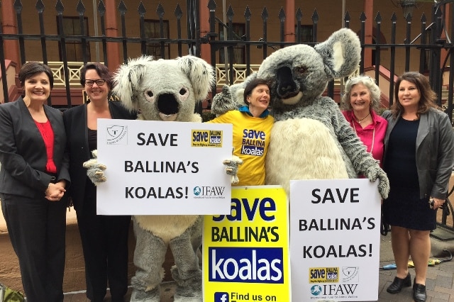 Koala campaigners at parliament house