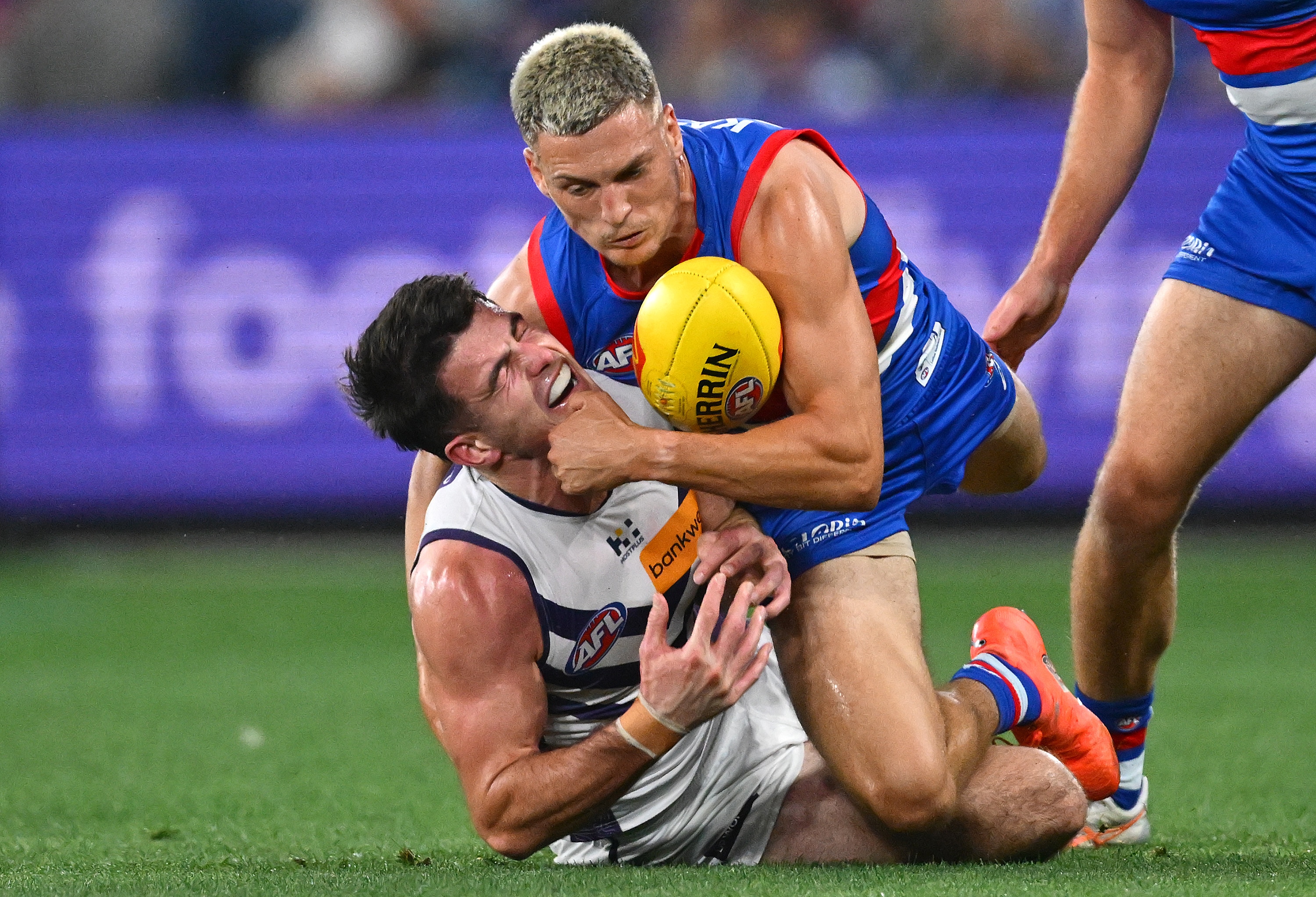 Bulldogs vs Fremantle : ce qu'il faut savoir — image 2