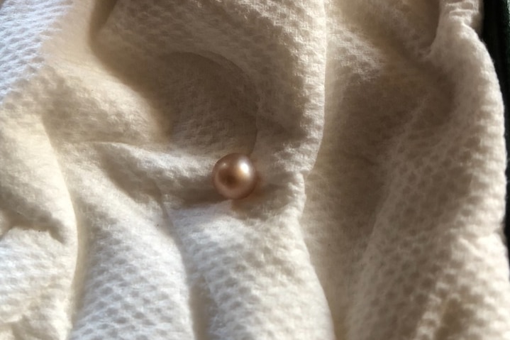 A small pearl sits inside a jewellery box.
