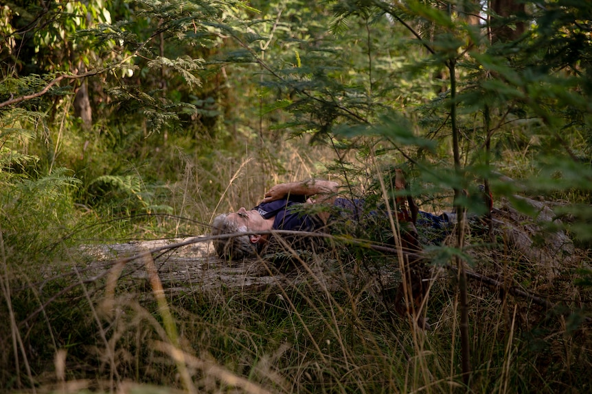 A man lying on a fallen tree trunk in a forest