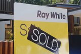 A Ray White 'Sold' sign outside a house