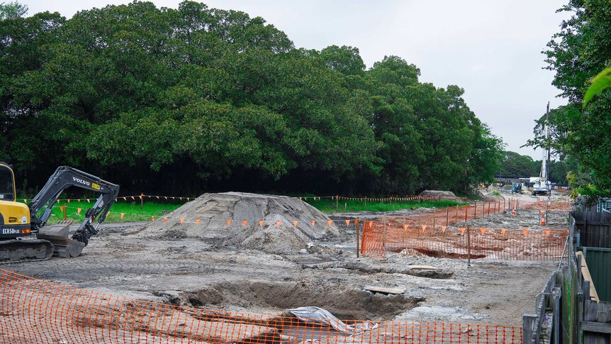 Excavators dig up a site between trees.
