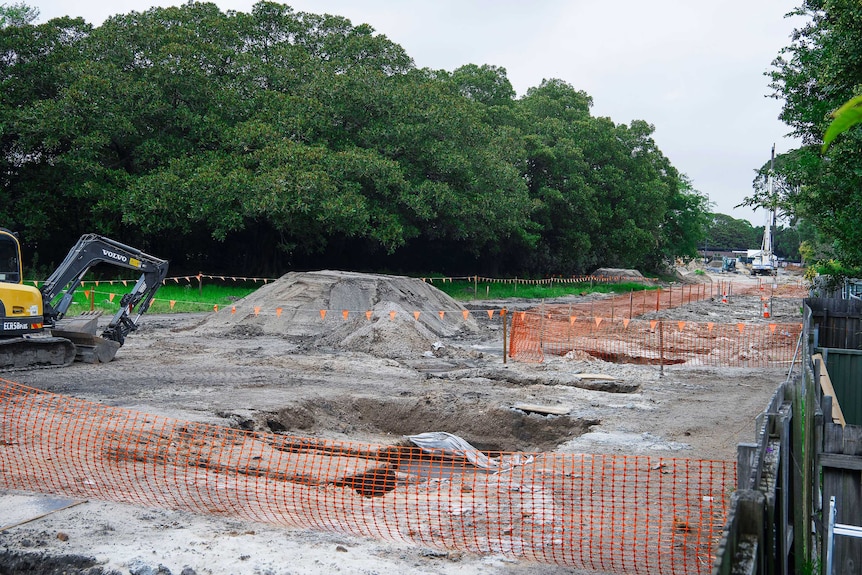 Excavators dig up a site between trees.