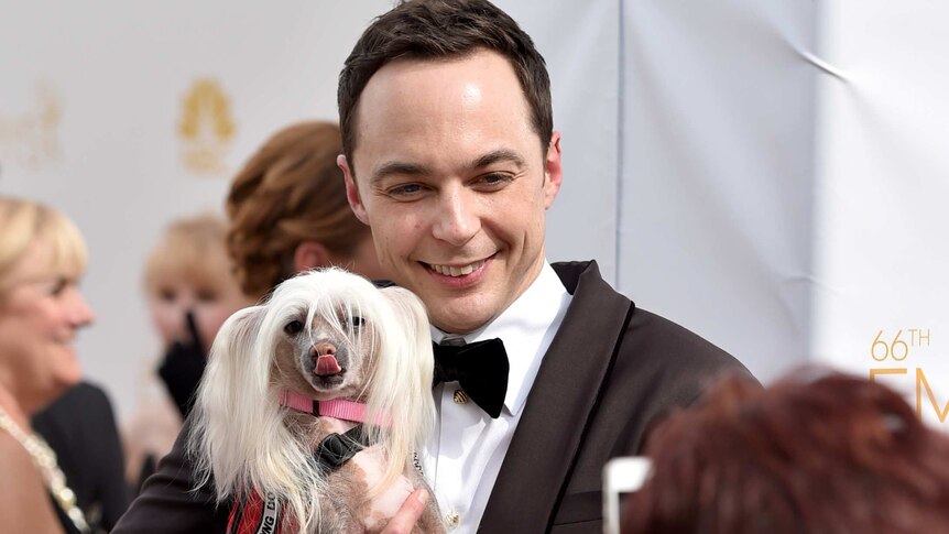 Jim Parsons attends the 66th Annual Primetime Emmy Awards at the Nokia Theatre in Los Angeles.