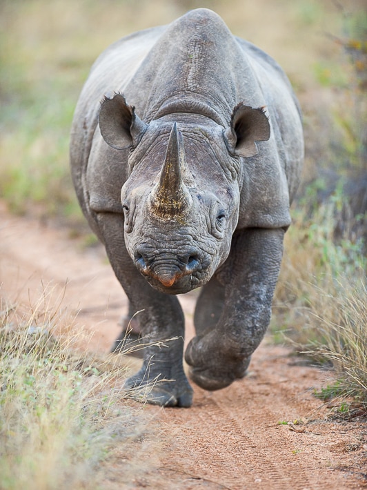 Ntombi walks along a path in Limpopo.