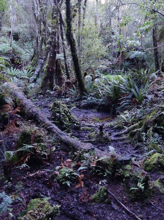 Muddy going on Tasmania's South Coast Track.