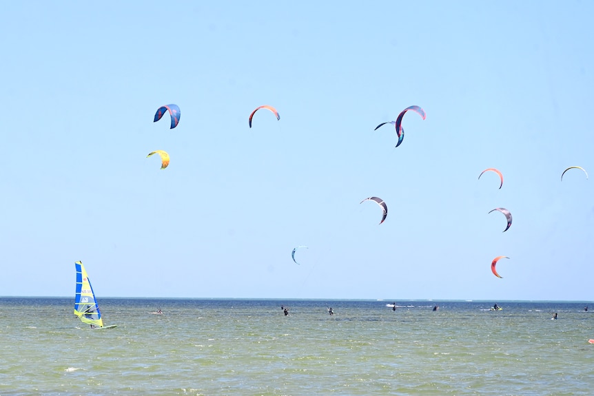A single windsurfing board and 11 kite surfers are in the distance on the ocean near to shore.