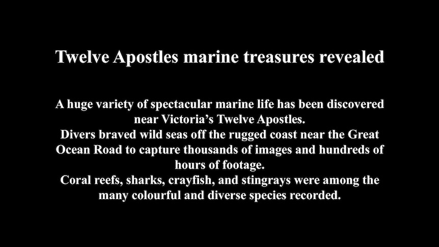 Twelve Apostles marine life revealed
