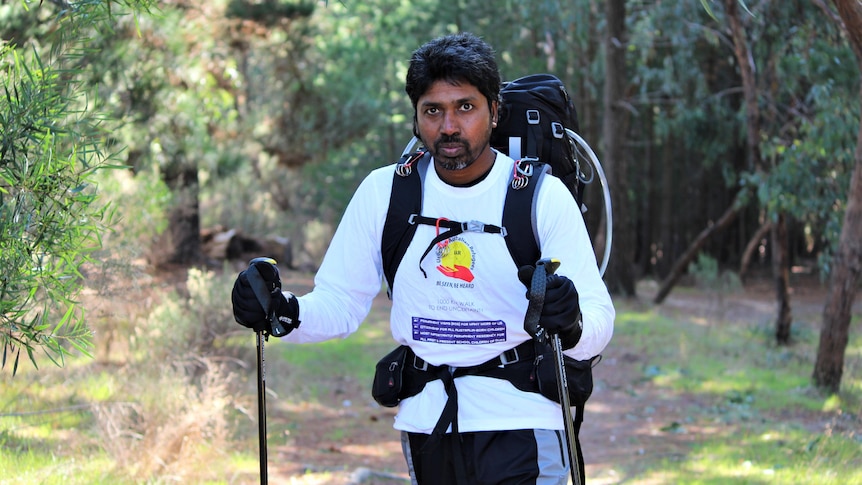 A man with a large backpack and walking sticks trekking through a forest area.