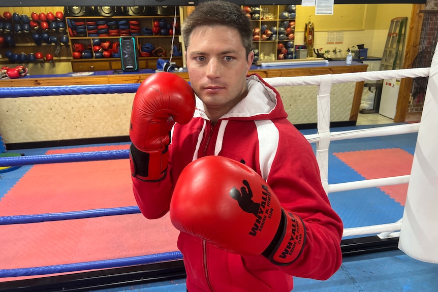 A man wearing boxing gloves looks at the camera. 