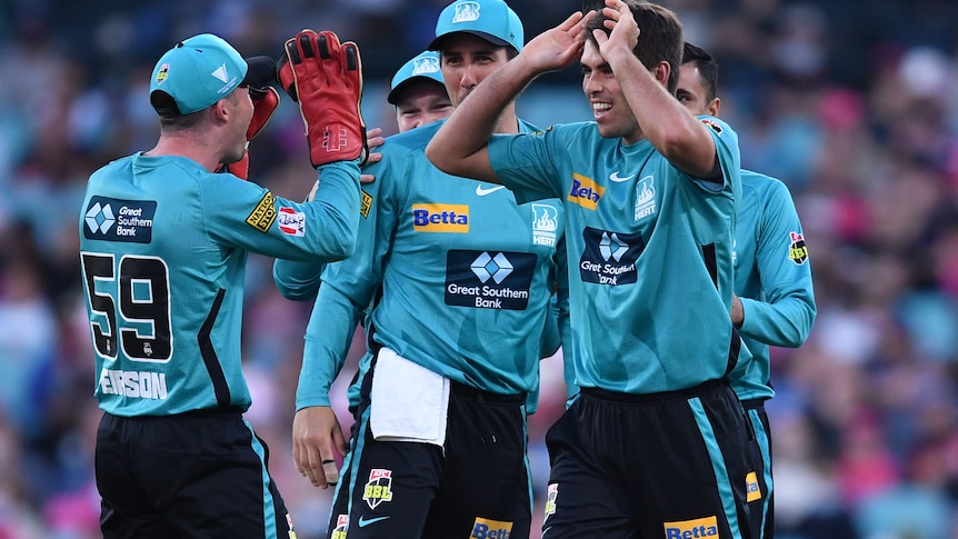 Brisbane Heat players in blue uniforms gather with two players about to give each other high fives after celebraing a wicket