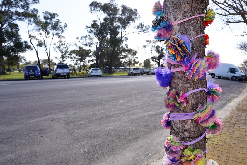 A tree decorated with pom poms and string stands next to a quiet main street the morning of Lucindale's One Night Stand concert.