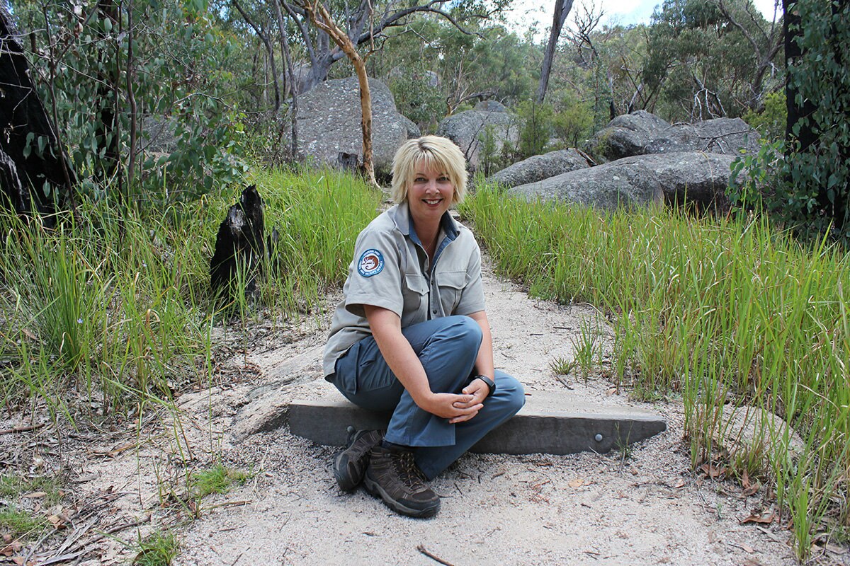 Ranger reflects on 50 years of Girraween National Park - ABC News