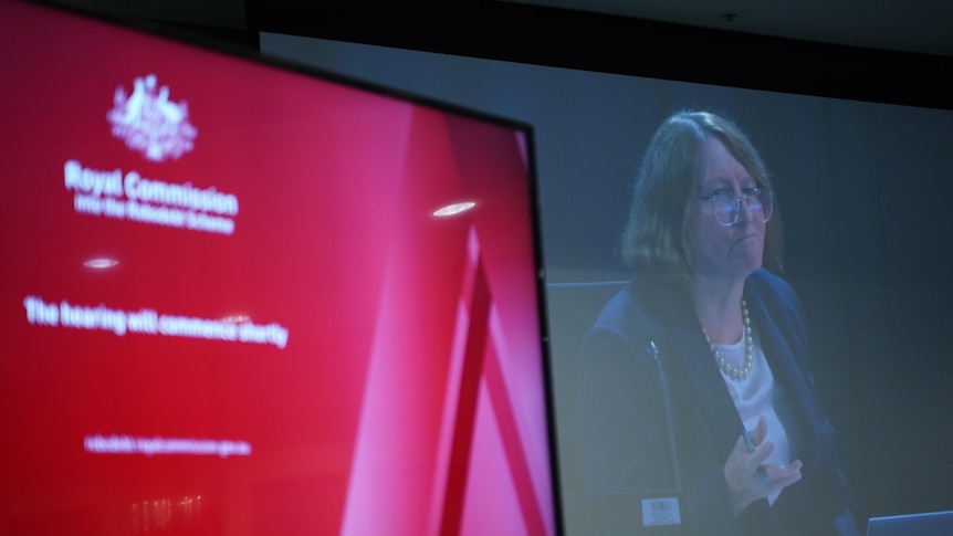 Catherine Holmes speaking on-screen at the Robodebt royal commission